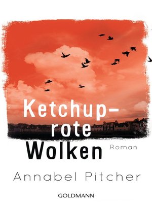 cover image of Ketchuprote Wolken